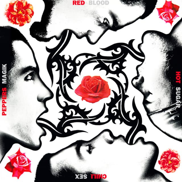 Red Hot Chili Peppers - Blood Sugar Sex Magik album cover